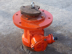 BZDL防爆振動電機(jī)