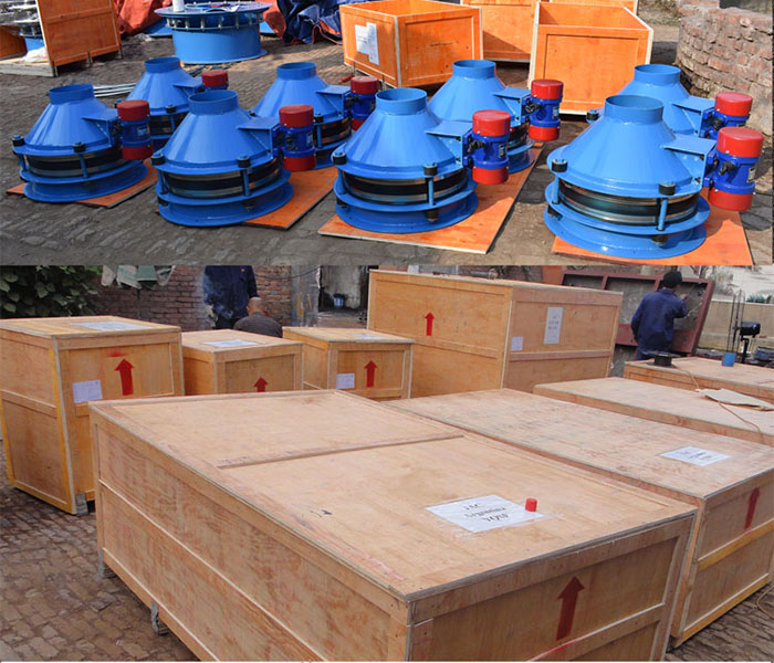 振動料斗包裝，裝箱，發(fā)貨現(xiàn)場展示